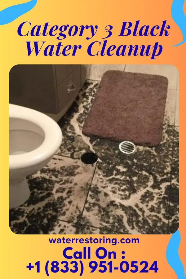 Category 3 Black Water Cleanup in Sun Village, CA
