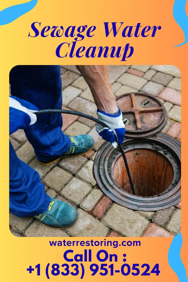 Sewage Water Cleanup in Sun Village, CA